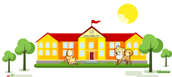 apprentissages du Shiba Inu
