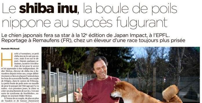 Article journal 24 heures
