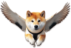 shiba volant