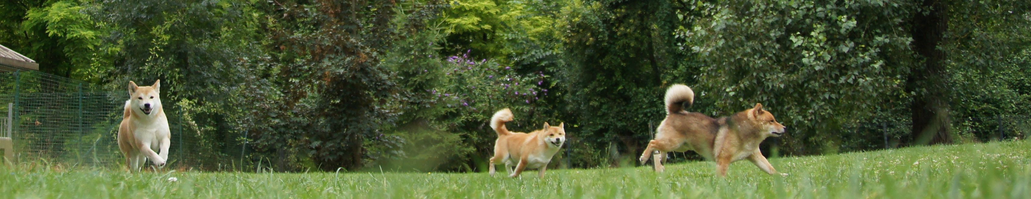 Photographies du Temple-Okami