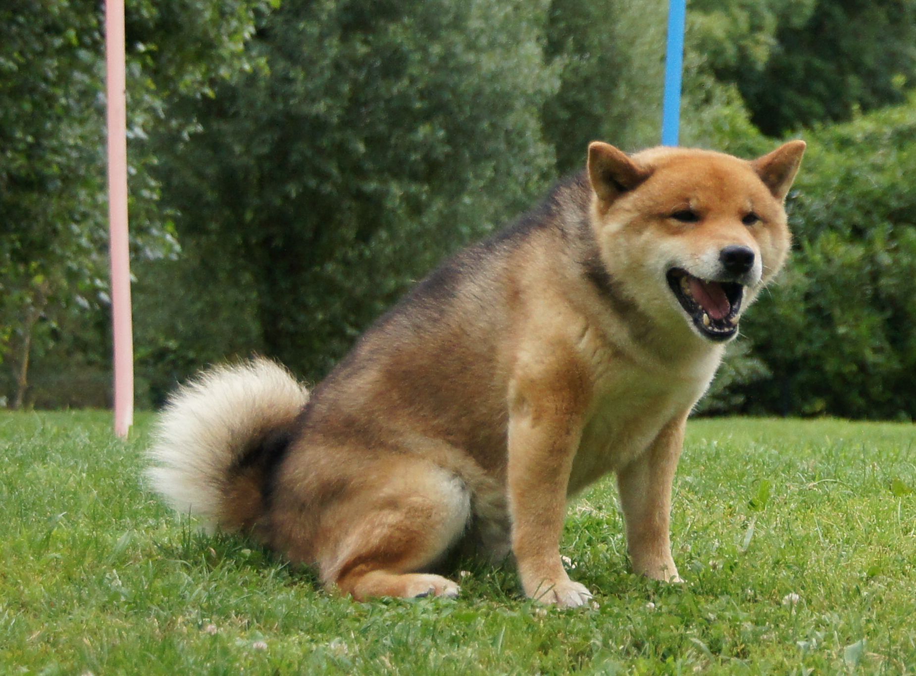 Photographies du Temple-Okami