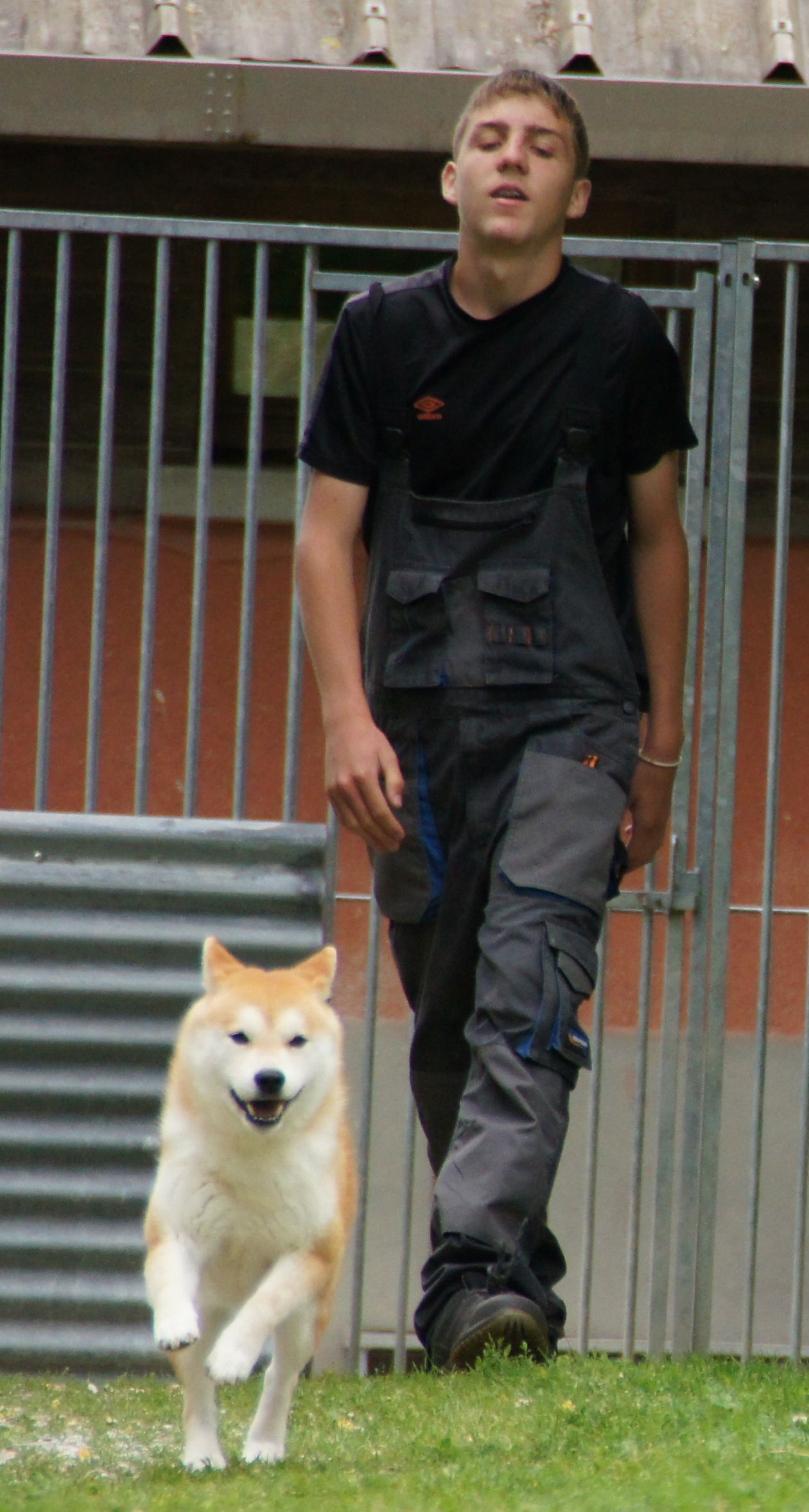 Photographies du Temple-Okami