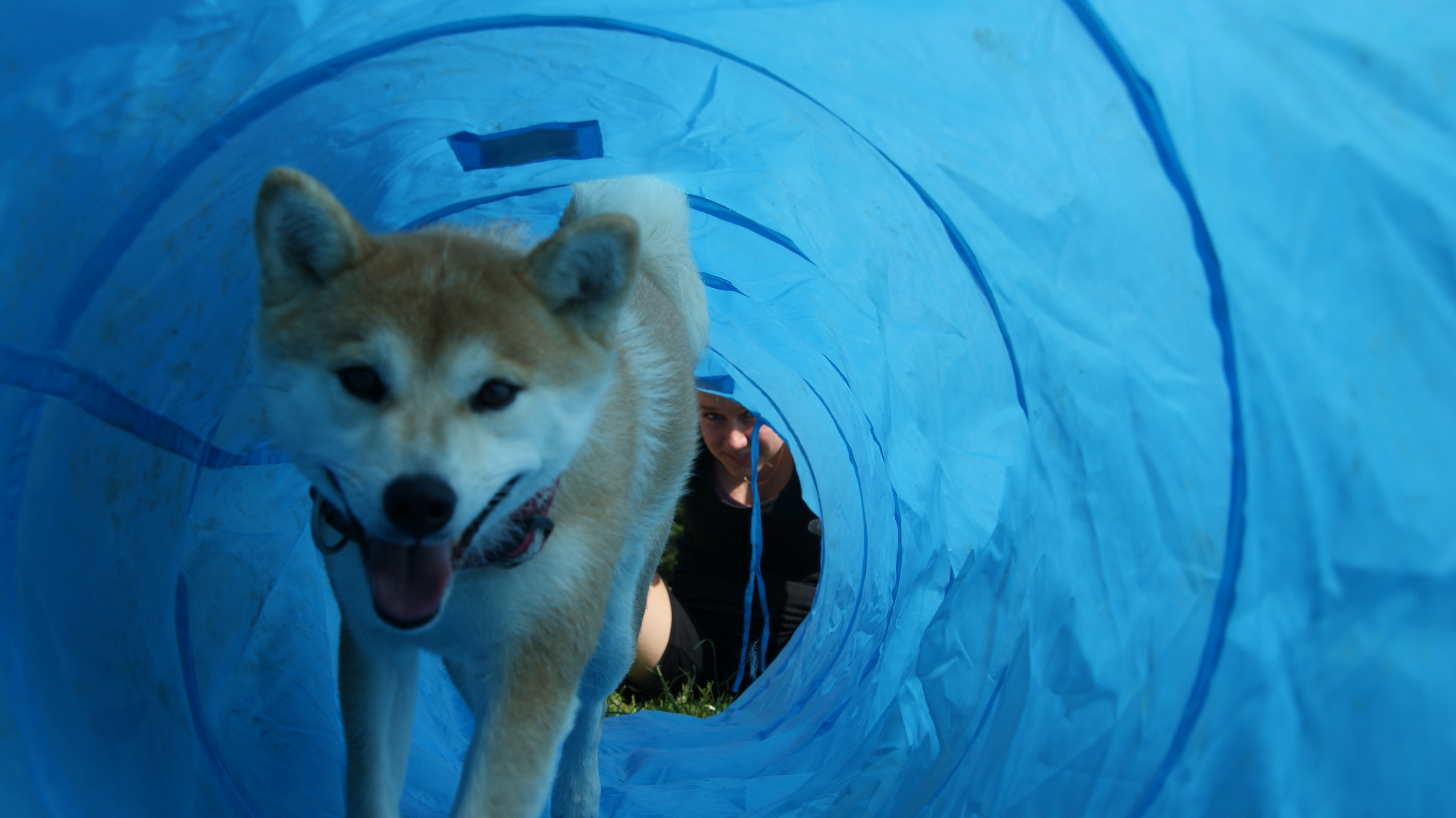 Photographies du Temple-Okami