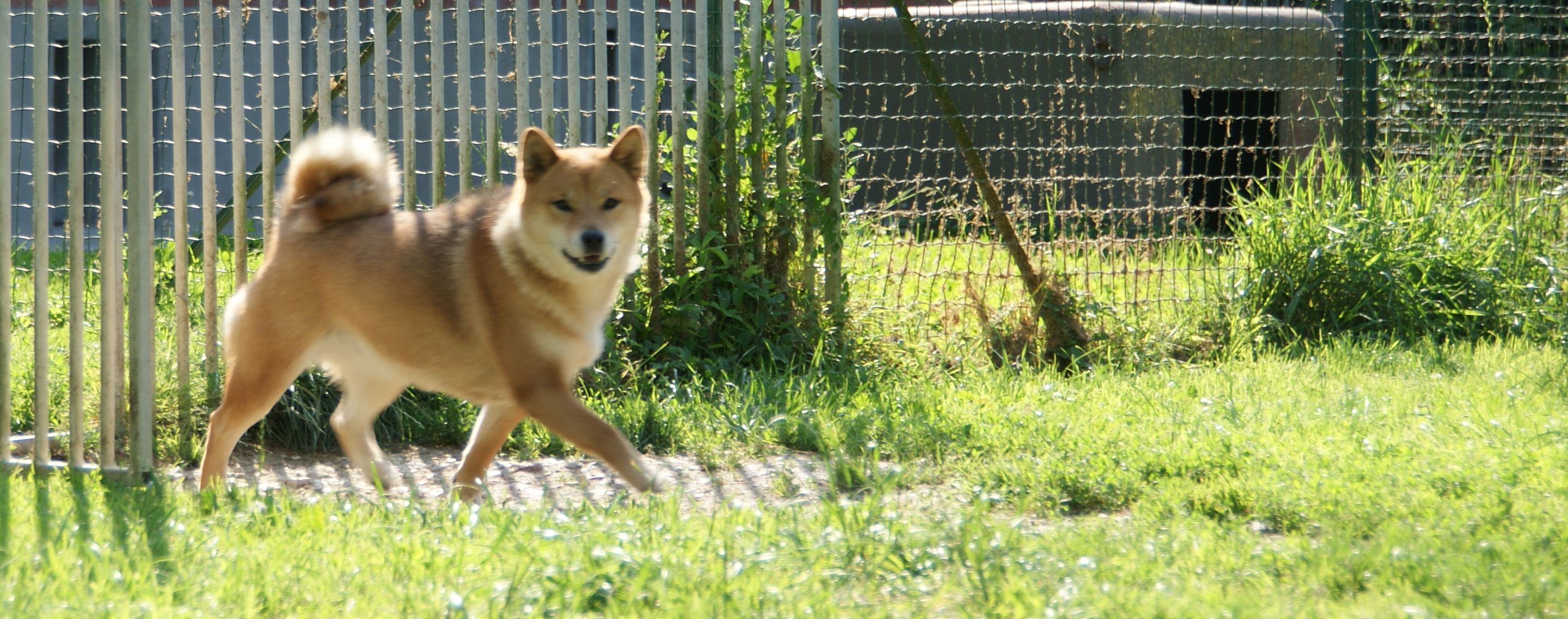 Photographies du Temple-Okami