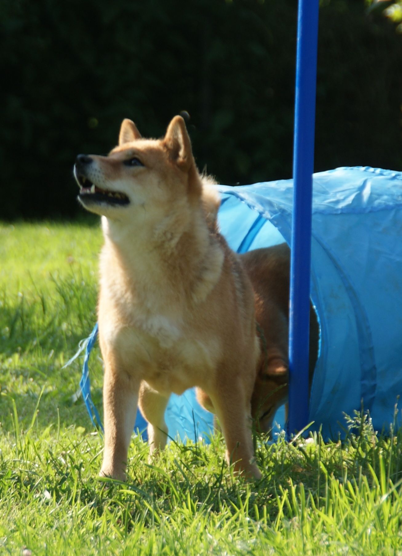 Photographies du Temple-Okami