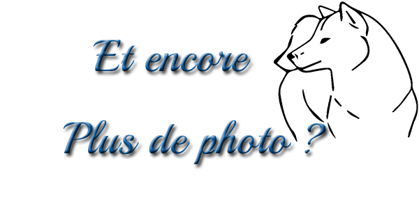 plus d'images