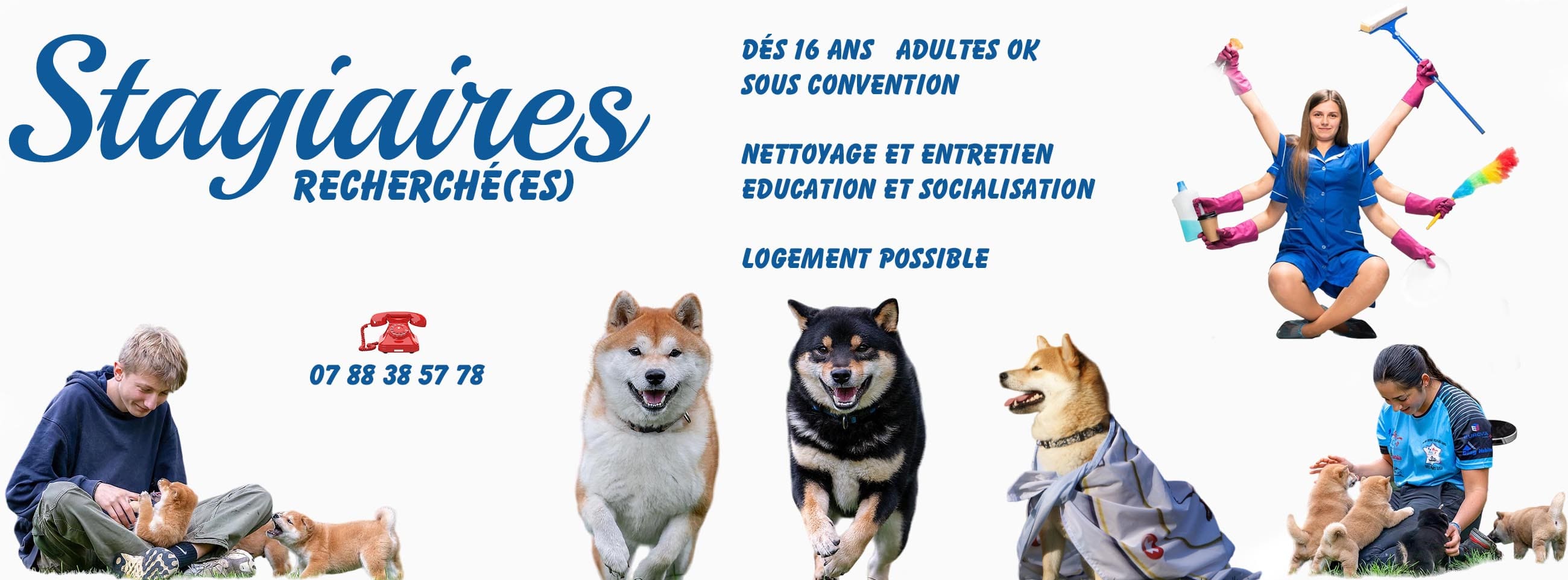 Stagiaires du Temple-Okami EARL