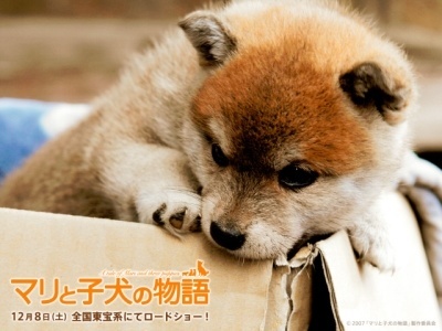 mariimage003