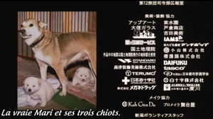 mariimage013